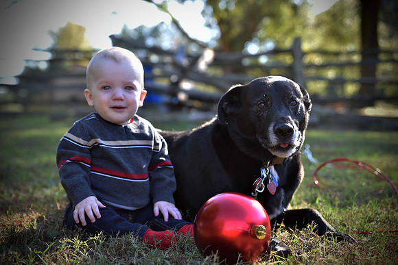 Holiday Photo at Crump Park